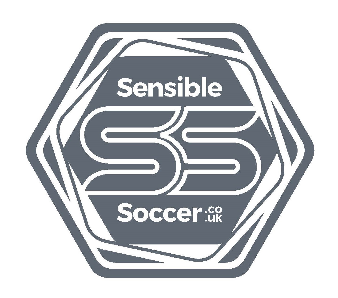 Sensible Soccer Powershot Goal-12x6ft